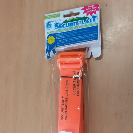 Bracelets Securit'Lait Orange
