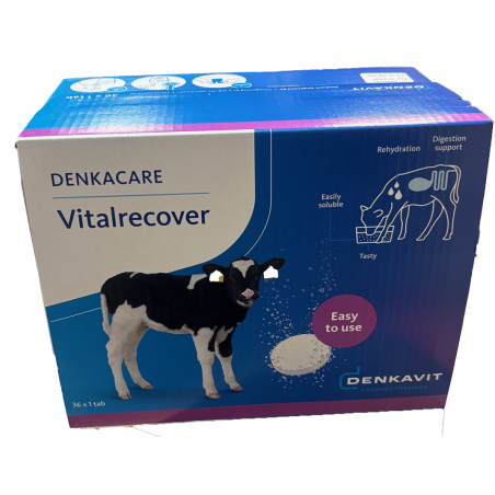 VITAL RECOVER (36 sachets)