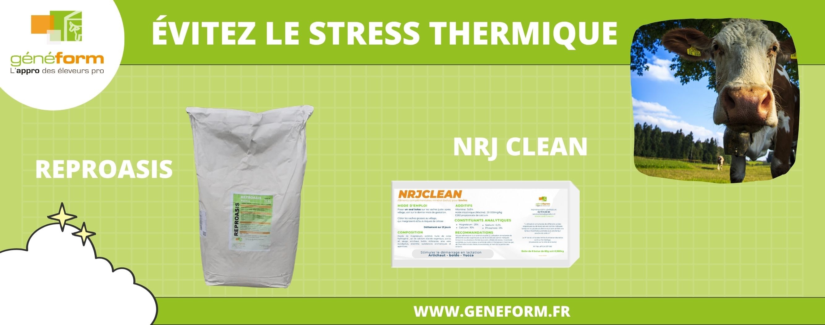 stress thermique